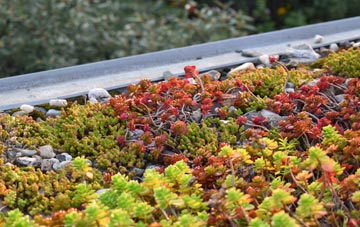 the cost of Leochel Cushnie green roof installation