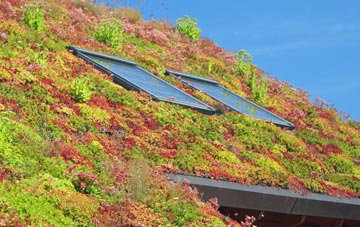 Leochel Cushnie living roof systems