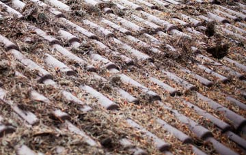 Leochel Cushnie roof cleaning companies